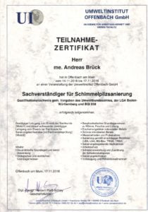 Sachverständiger für Schimmelpilzsanierung Brück GmbH