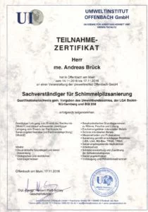Sachverständiger für Schimmelpilzsanierung Brück GmbH